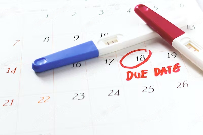 Due Date Calculator - Pregnancy test with positive result lying on calendar background.