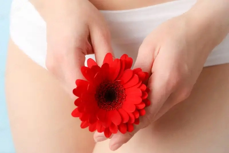 Top Female Sexual Enhancement Products 2023 - Woman in panties holding gerbera, close up