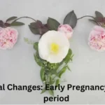 Cervical Changes Early Pregnancy vs. Pre period