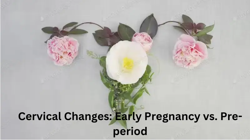 Female uterus made from leaves and flowers - cervical changes