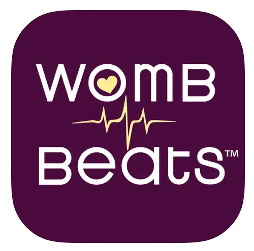 womb beats - When Can A Fetus Hear?