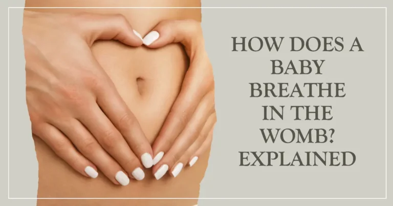 How Does A Baby Breathe In The Womb Explained