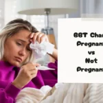 BBT Chart Pregnant vs Not Pregnant