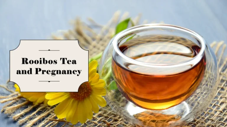 Is Rooibos Tea Pregnancy Safe