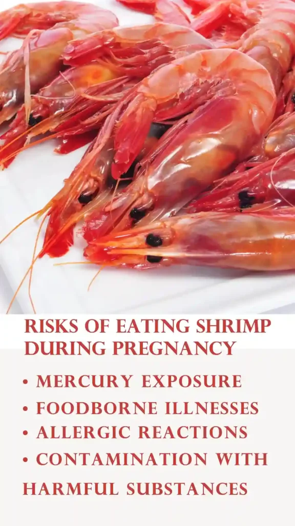Risks of eating shrimp - Can Pregnant Women Eat Shrimp?