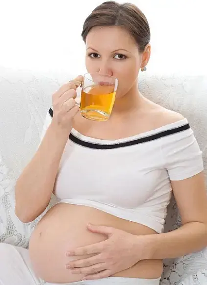 A pregnant woman drinking tea - Can You Drink Lipton Tea During Pregnancy