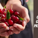 Are Cherries Good for Pregnancy