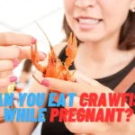 Can You Eat Crawfish While Pregnant 2