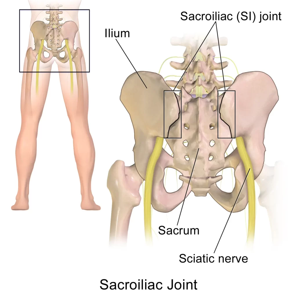 diagram of sacroiliac joint