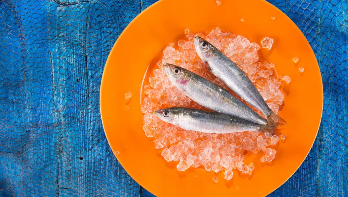 fresh anchovies on a bed of ice