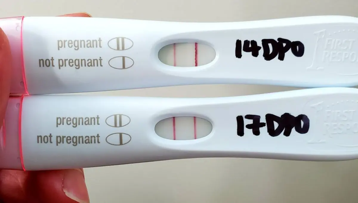 Dye Stealer Pregnancy Test