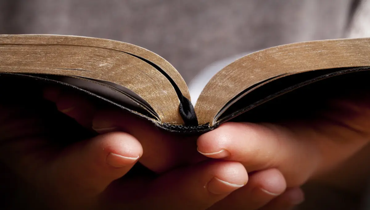 Woman holding and reading the Bible in her hands