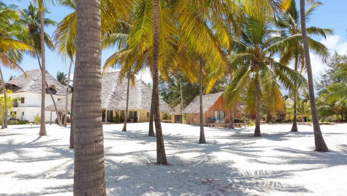 Bungalow on perfect white sandy beach with palm trees, Paje, Zanzibar, Tanzania