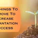 10 Things To Remove To Increase Implantation Success