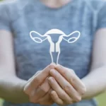Thicken Uterine Lining in 48 Hours