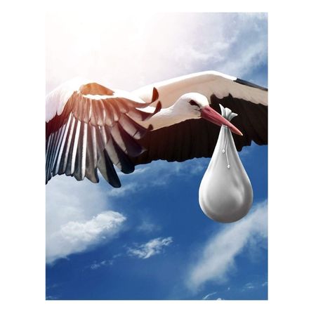 Dream Journal For Expectant Mother: On Your Journey Toward Motherhood Record Your Dreams and Reflect on How Awesome It Is To Be Bringing New Life Into