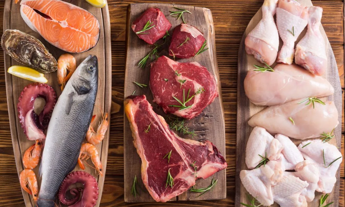 assortment of meat and seafoods rich in choline.