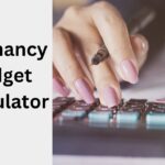 Free Online Pregnancy Budget Calculator