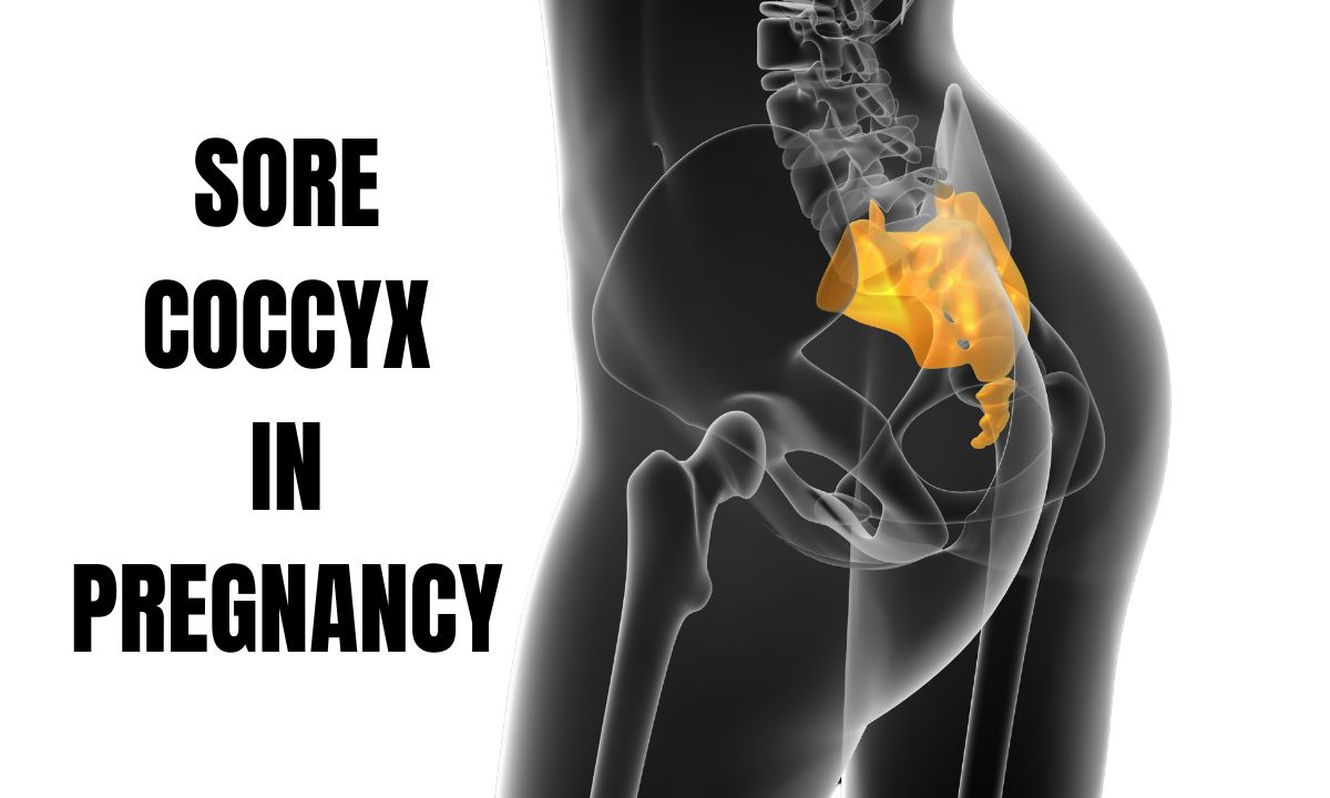 Sore Coccyx in Pregnancy